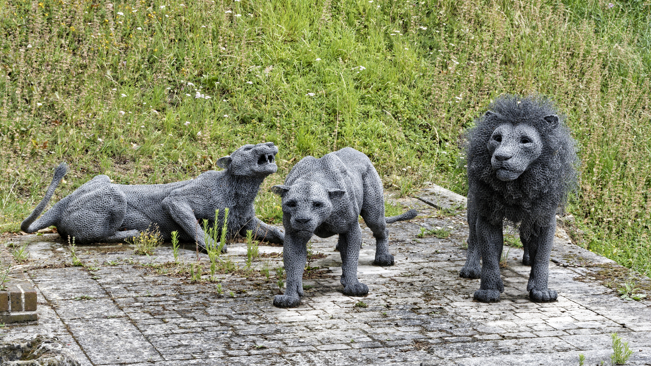 20230723 102938•London•England•UK